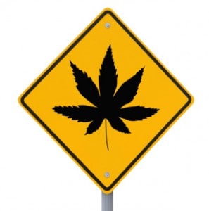 Legalization of Marijuana and Driving